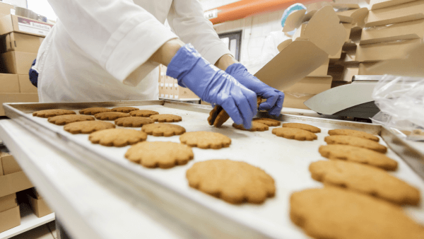 בטיחות מזון למפעל מזון בדרום ברישיון משרד הבריאות